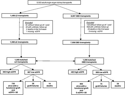 Comparison of Kidney Graft Function and Survival in an Emulated Trial With Living Donors and Brain-Dead Donors